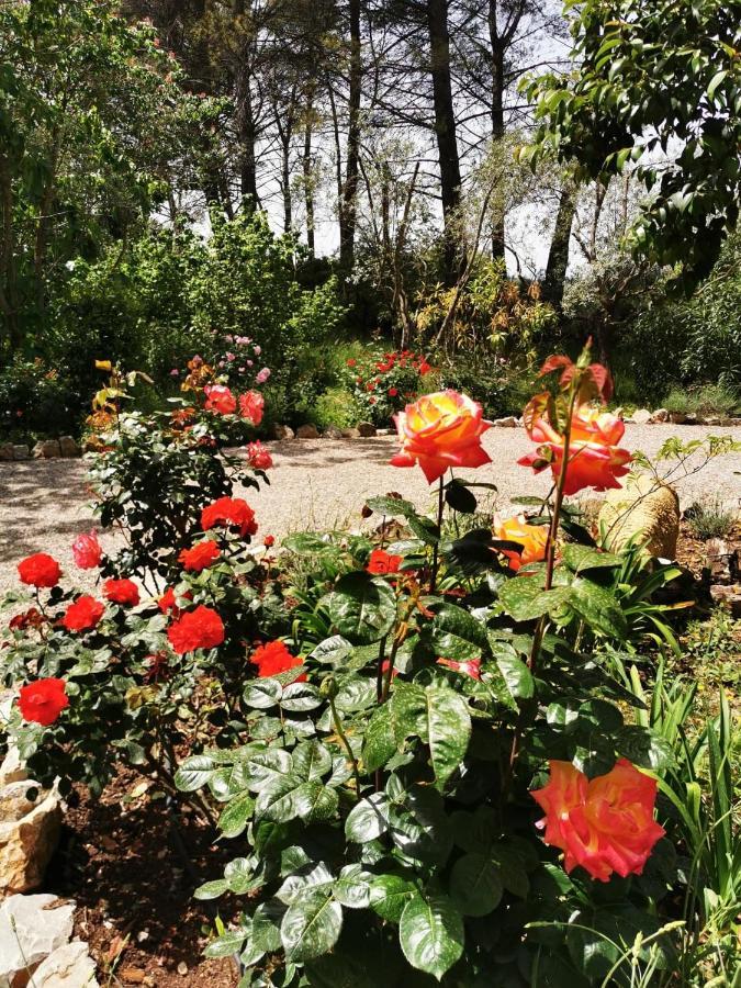 La Maison Du Soleil Provence Draguignan Eksteriør bilde